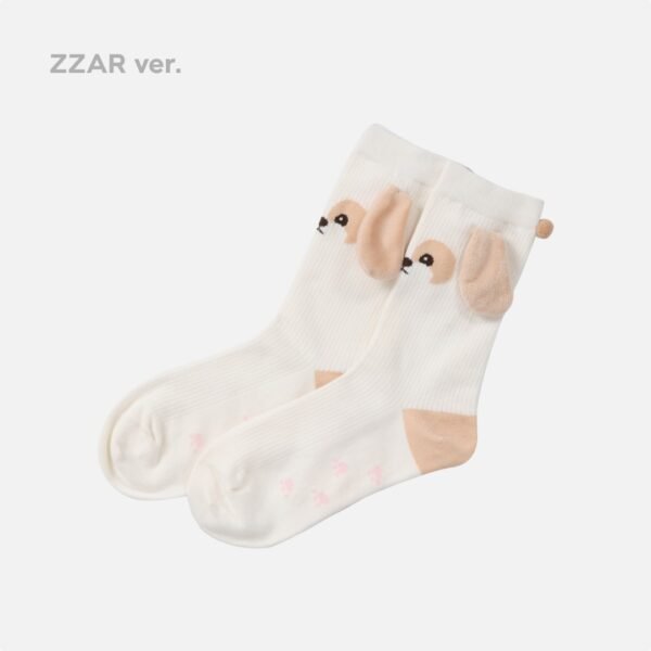 Chanyeol Magnet Socks