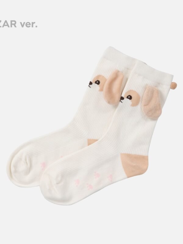 Chanyeol Magnet Socks