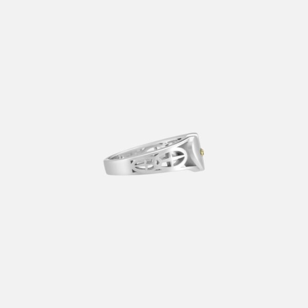 EXO - [13th Anniversary MD] History Ring Set