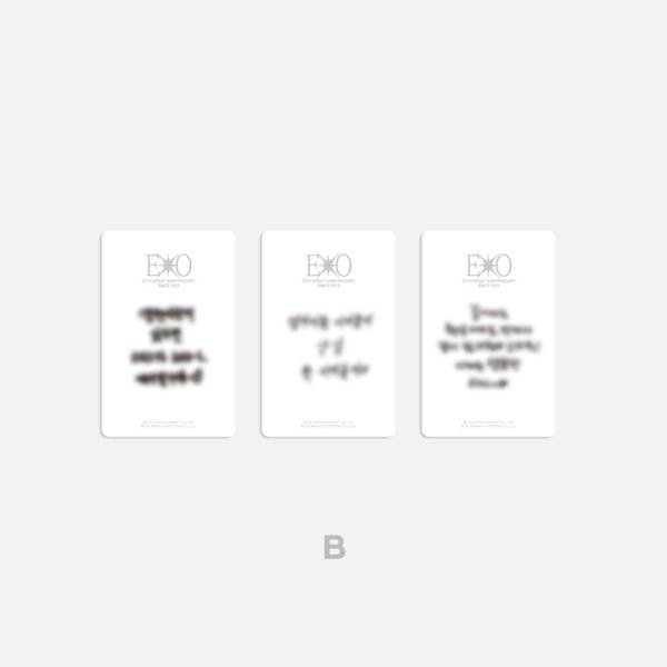EXO - [13th Anniversary MD] History Ring Set