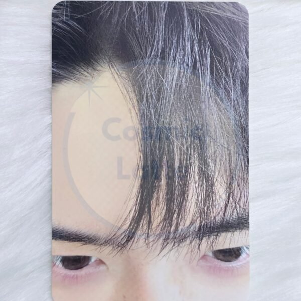 SEHUN 2024 Season's Greetings