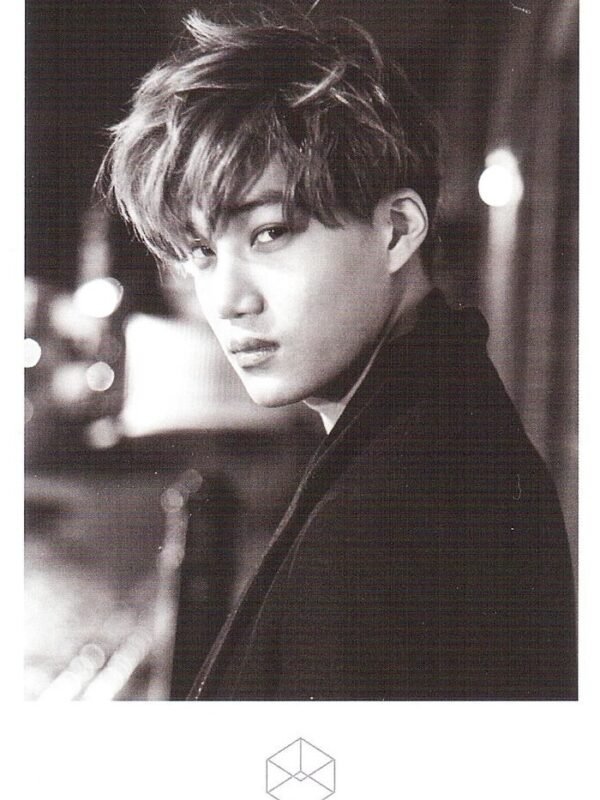 EXO KAI Exodus Polaroid Oficial