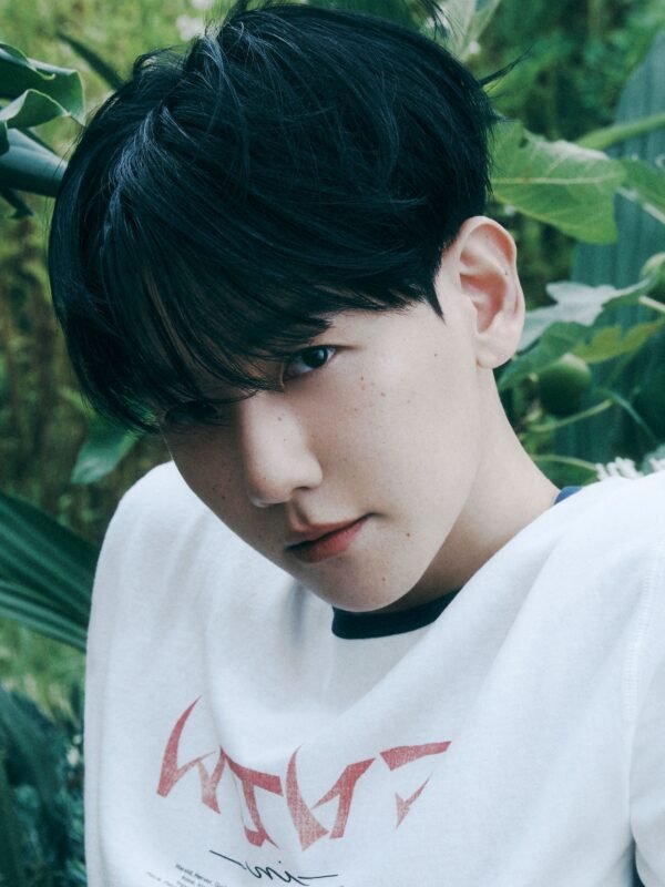 EXO - 8th Album [REVERXE] (Big SMini Ver.) (Random)